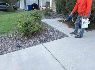 Weeding by Jesse Nunez for Kathy H. in Aurora, CO