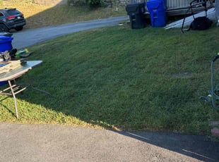 Donna G.'s Lawn Maintenance service result