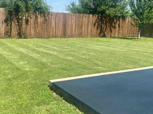 Emily C.'s Lawn Maintenance service result