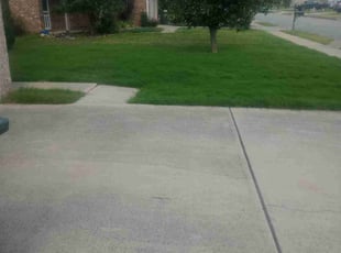 Tina P.'s Lawn Care service result