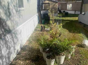 Leaf Removal by Roberto Banda for Bernard G. in Austin, TX