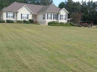Cheryl C.'s Grass Cutting service result