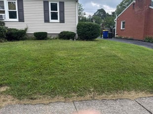 Bush Trimming by Rachel Pensyl for Danielle D. in Camp Hill, PA