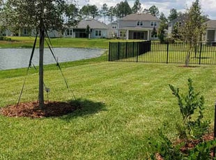 Ajay K.'s Grass Cutting service result