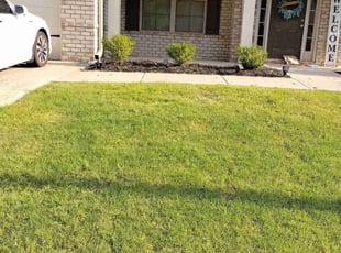 Bush Trimming by Elvin Dobbs for Ruby P. in Dallas, GA
