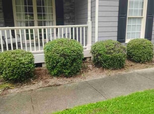 Bush Trimming by Joshua Turman for Lynn T. in Canton, GA