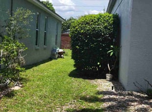 Bush Trimming by Carlos Martinez for Alex s. in Orlando, FL