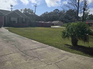 Carl s.'s Yard Cutting service result