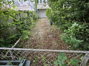 Leaf Removal by James Mckenzie for William C. in Washington, DC