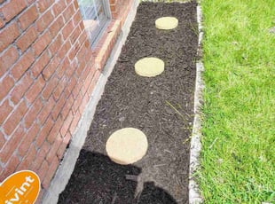 Landscaping by Marquase Caldwell for Treona S. in Shreveport, LA