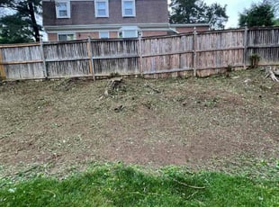 Cleanups by Jairon Villagran for Shanda H. in Rockville, MD