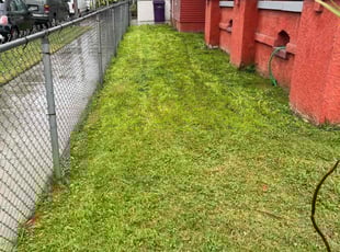 Linda F.'s Lawn Mowing service result