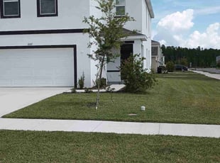 James B.'s Lawn Mowing Service service result
