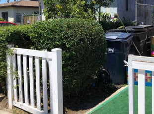 Bush Trimming by Sergio Acosta for Shunese C. in Los Angeles, CA