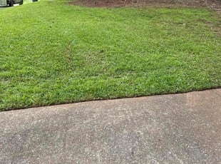 Bush Trimming by Jeremy Waller for Lydia B. in Dallas, GA
