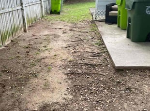 Leaf Removal by Tremaine Ward for Kaylee C. in Columbia, SC