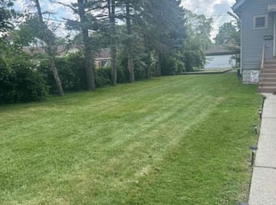 Jacqueline B.'s Lawn Care service result
