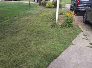 Ryan W.'s Lawn Care service result