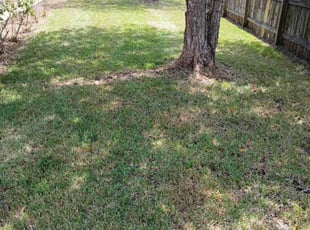 Weeding by Kenneth McClain Sr for Edward W. in Elkton, FL