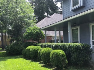 Bush Trimming by James ODonnell for Stephen B. in Humble, TX