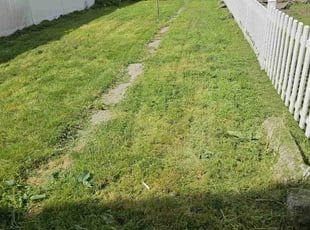 Julie F.'s Lawn Service service result