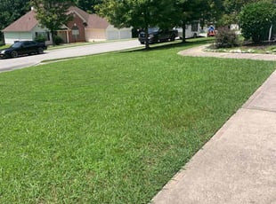 Robert S.'s Lawn Service service result
