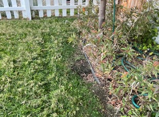 Landscaping by Keith Dalke for Annie A. in San Diego, CA