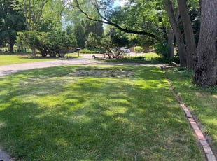 Cleanups by Zach Dangler for Shannon N. in Lansing, MI