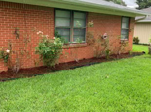 Landscaping by Moises Perez for Dianna M. in Baytown, TX