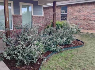 Weeding by Sam Tyler for Anthony C. in Yukon, OK