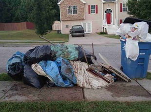 Cleanups by Lewis Eurich for Felicia W. in Hampton, GA