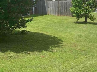 Joseph Z.'s Lawn Care service result