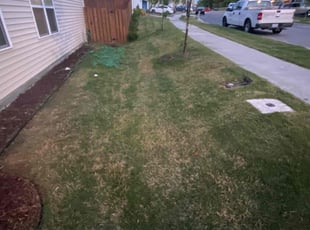 Cleanups by Charles Gamble for Nik B. in Durham, NC