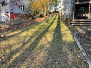 Leaf Removal by LaWanda Moses for Drayton A. in Richmond, VA