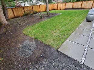 Leaf Removal by Coben Varland for Teng Y. in Kirkland, WA