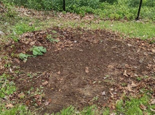 Leaf Removal by Nick Salter for Jake B. in Northbridge, MA