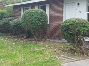 Bush Trimming by Kenneth Isw for Diane W. in Virginia Beach, VA