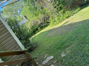 Leaf Removal by Kevonte Whitfield for Daniel A. in Hampton, VA