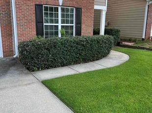 Bush Trimming by Phillip StPreuve for Makeisha F. in Lawrenceville, GA