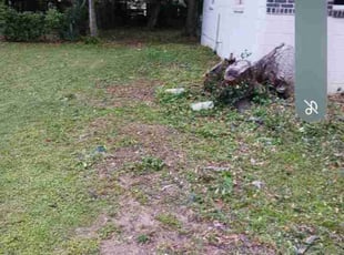 Cleanups by Felton Roberson for Rent P. in Pensacola, FL