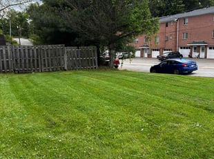 Diane J.'s Lawn Mowing service result