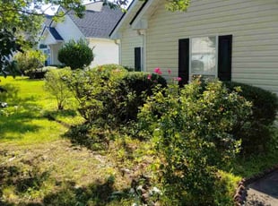 Bush Trimming by Lacie and Don Moore for Laura S. in Loganville, GA