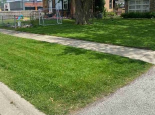 Lizzie B.'s Lawn Service service result