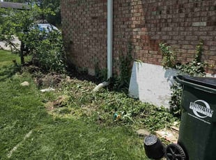 Weeding by Nicholas Weber for Johanna C. in West Chester Township, OH