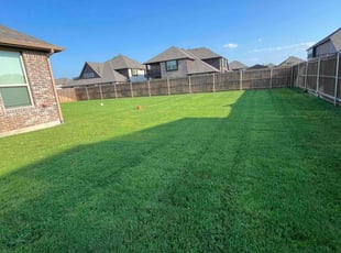 Shameka e.'s Lawn Care service result