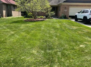 Cleanups by Jose Sanchez for Tara M. in Warrenville, IL