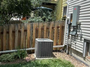 Weeding by Nicholas Murillo for Elaine D. in Arvada, CO