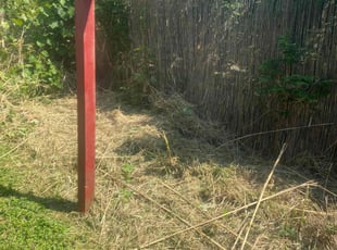 Cleanups by Garrick Murphy for Chris F. in Kansas City, MO
