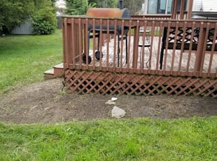 Weeding by Mike Trovato for Lisa A. in Blacklick, OH