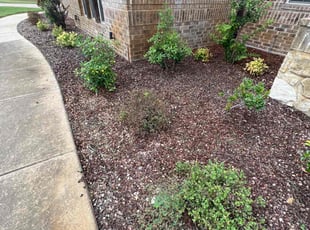 Weeding by Manuel Gonzalez for Aaron Z. in Mansfield, TX